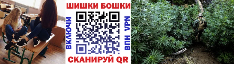 Купить где Заволжск Каннабис MAZAR